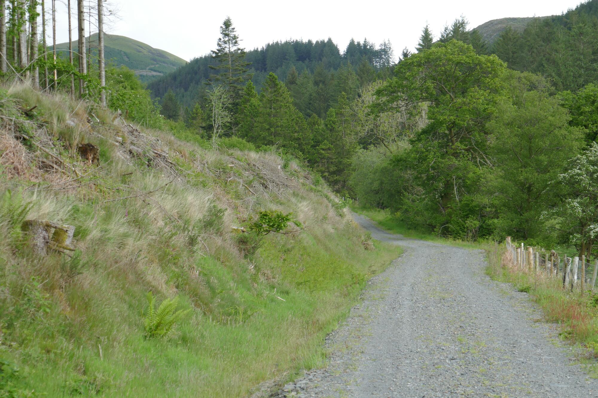 RachelSeabrook.net | Wild Walking | Devils-Bridge; pic38